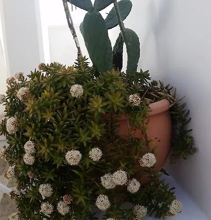 Bed and Breakfast La Porta Vecchia