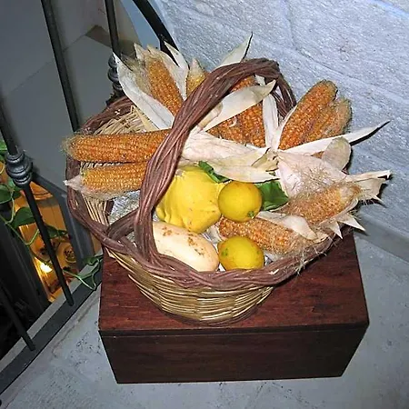 旧门住宿加早餐旅馆 住宿加早餐酒店