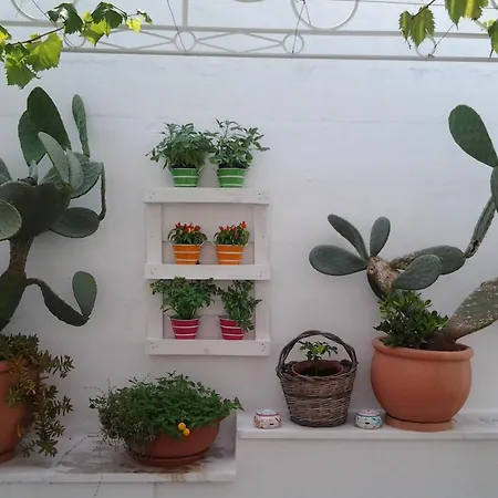 Bed & Breakfast La Porta Vecchia Monopoli