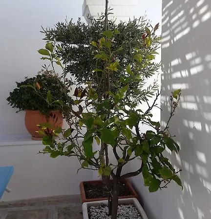 La Porta Vecchia Monopoli